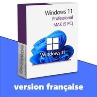 Windows 11 Professional (5 PC)