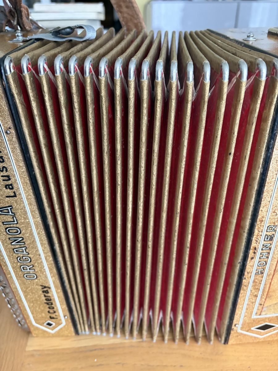 Hohner Strumenti musicali: Accordéon Hohner Organola  – Usato da Echallens venduto da JAR69 2
