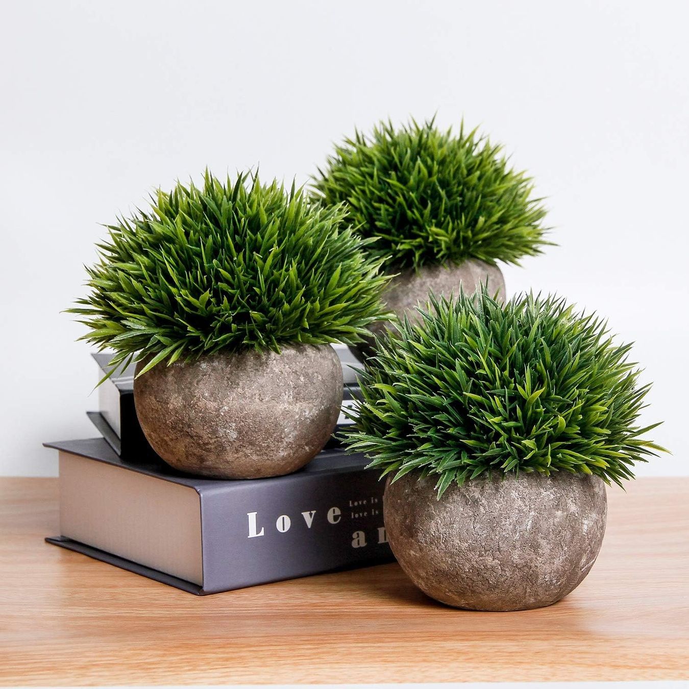Piante & sementi: Kunstpflanze Gras 6er set – Nuovo e nell'imballaggio originale da Nuglar venduto da SaleRitter