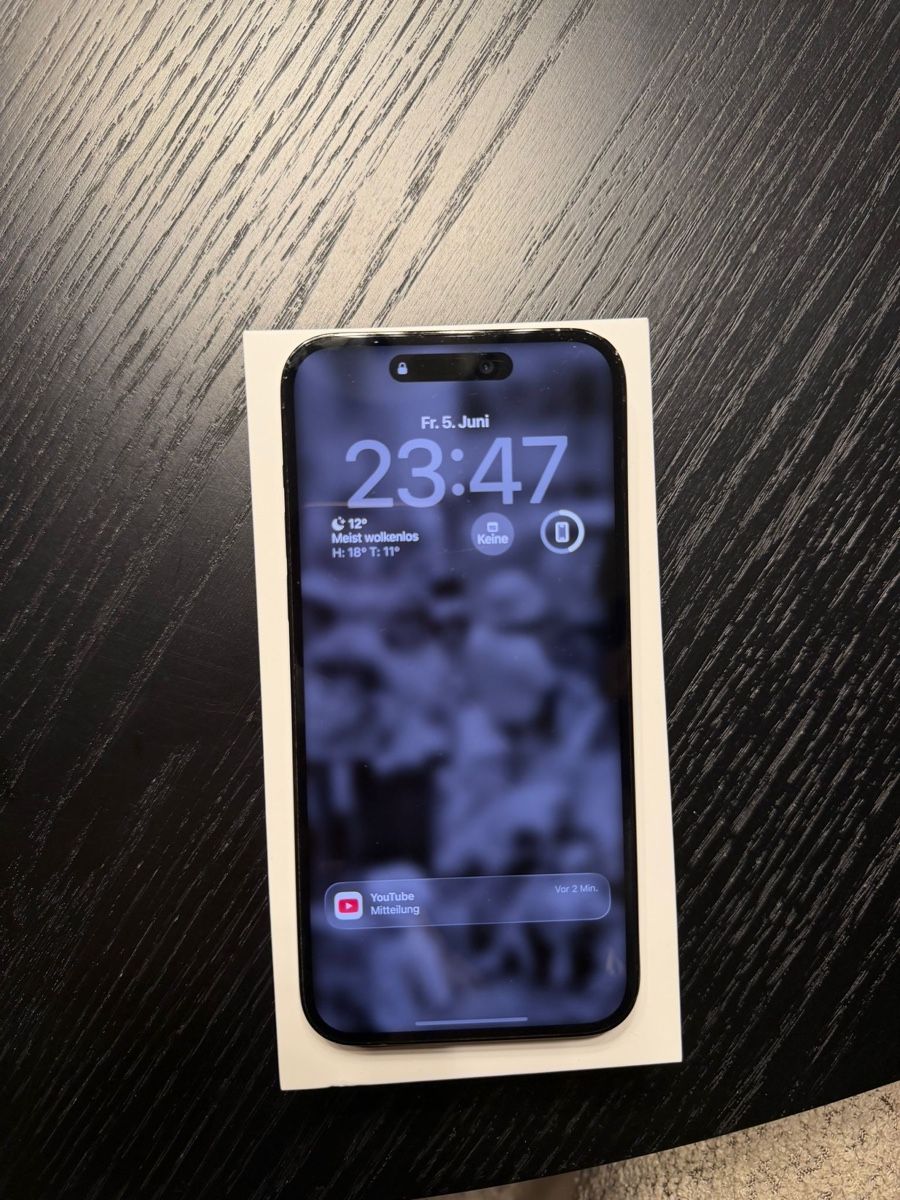 Apple Telefoni cellulari / Smartphones: iPhone 14 Pro Max 256GB Space Black – Usato da Waltenschwil venduto da inci7