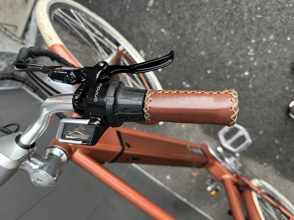 Vélos: e-bike Ego Moviment Cäsar 28   – D'occasion à Quartino par DiloUsato 6