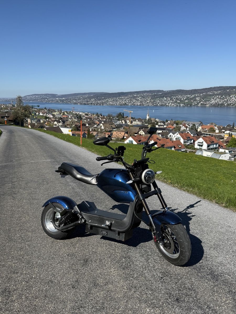 Chopper: City Max RR – Nuovo (secondo la descrizione) da thalwil venduto da Ray7211