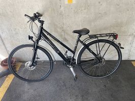 Rixe-Damen Citybike, Bastlerrad
