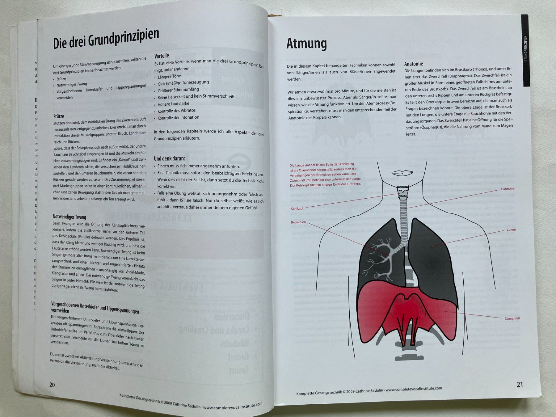 Libri: Vocal Schule Komplette Gesang Technik Catherine Sadolin – Usato da Aarau venduto da rol_mz8k 2
