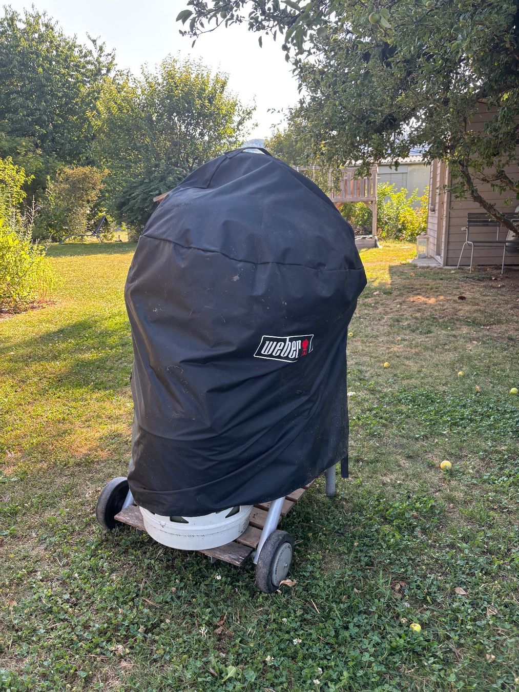 Griglie: Outdoorchef Ambri 480 – Usato da Oberkulm venduto da Helleborus4 3