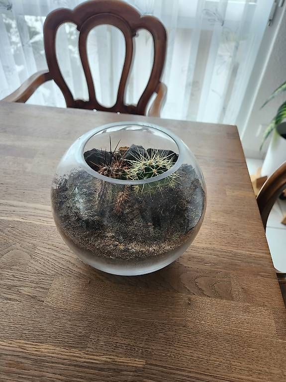 Tutte le decorazioni: Grosses und Kleines Kugel Glas – Usato da Ruppoldsried venduto da ChinRupsi