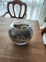 Grosses und Kleines Kugel Glas