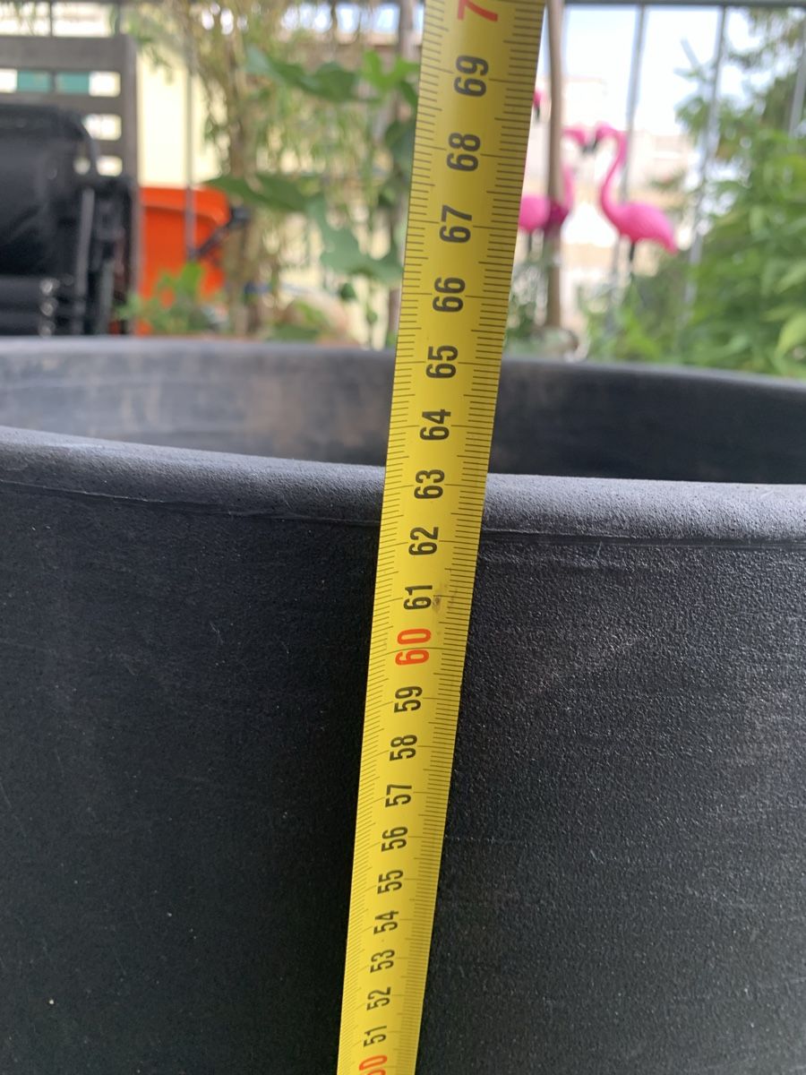 Vasi per fiori: Pflanzentopf XXL – Usato da Zürich venduto da benebiene 2