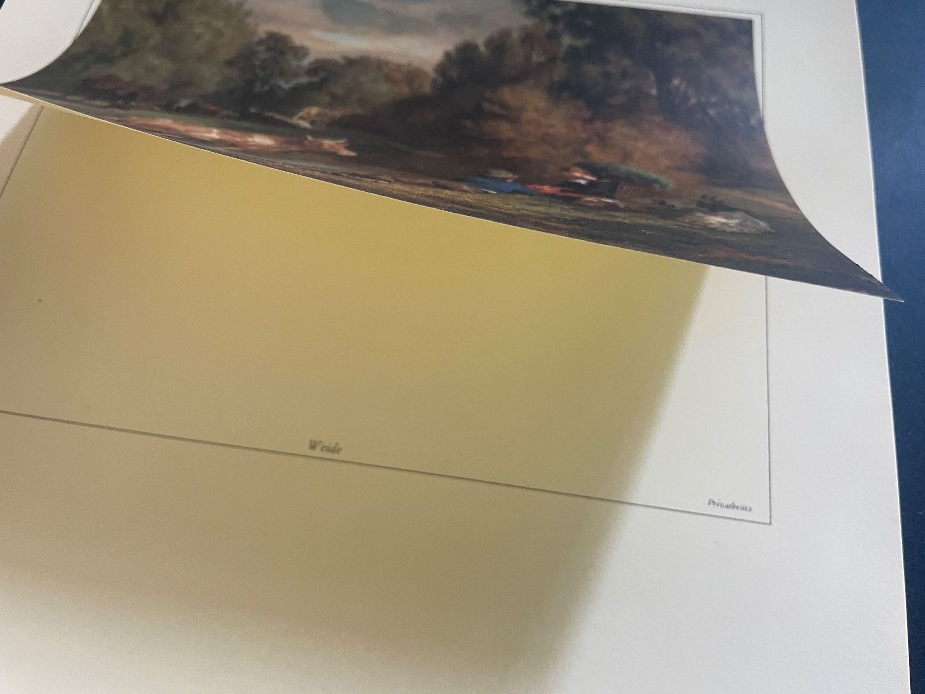Foto & Immagini: Bild Rudolf Koller "Weide" – Usato da Volketswil venduto da rubin74 2