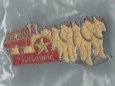 Hürlimann Pin