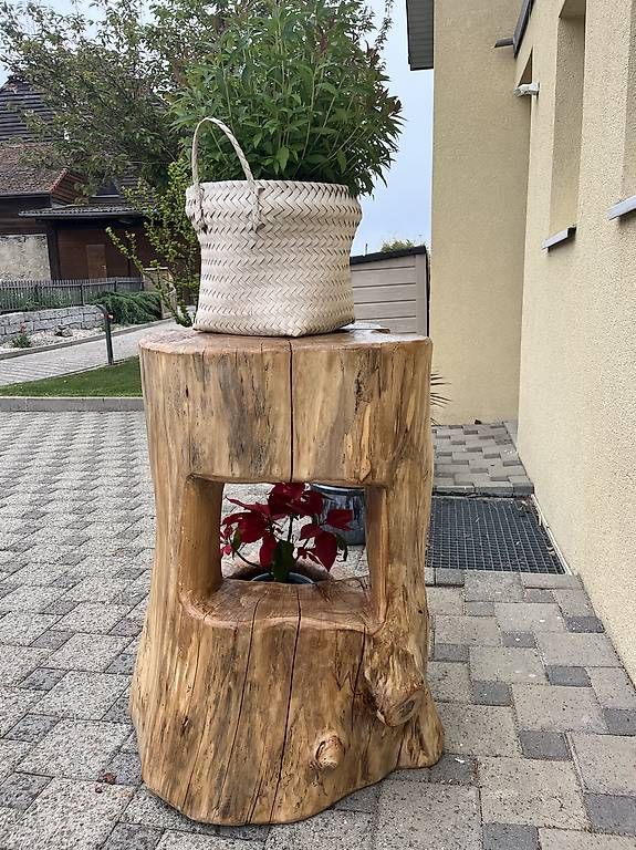 Altro in Decorazioni & Accessori: Tronc de décoration bois d orme. – Usato da Chevroux venduto da ateca2017 2