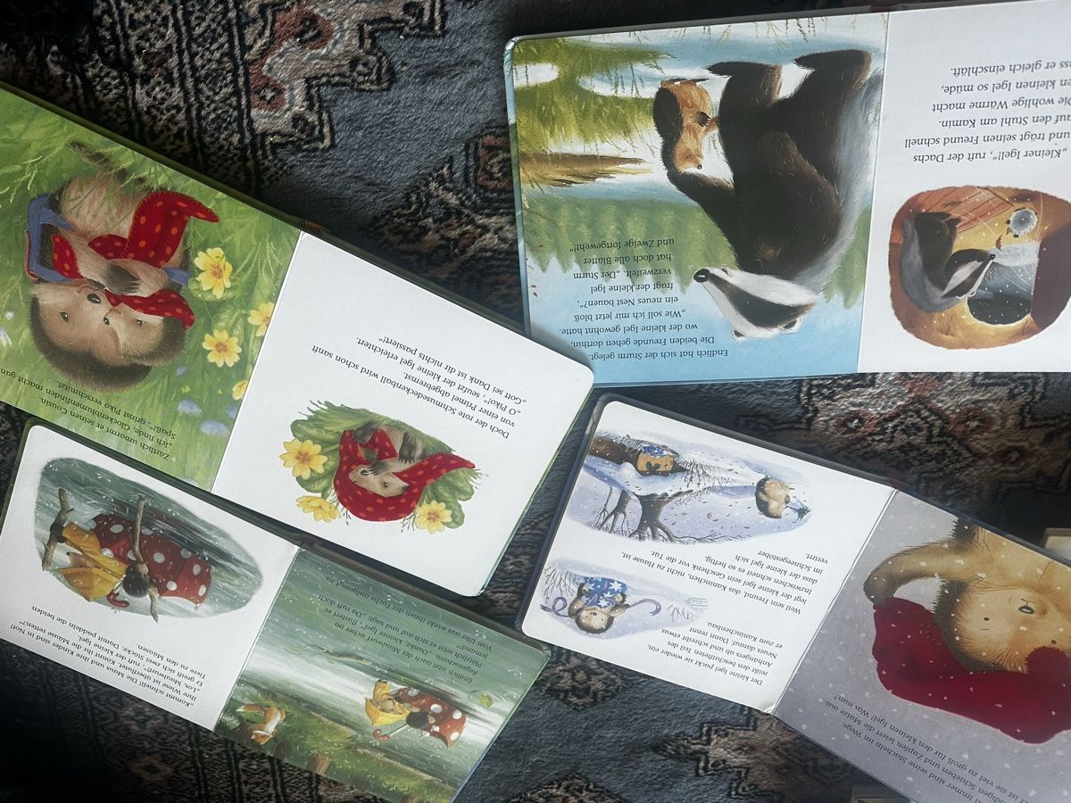 Libri: 4 bücher von der kleine Igel – Usato da Uster venduto da bek_v2ct 3