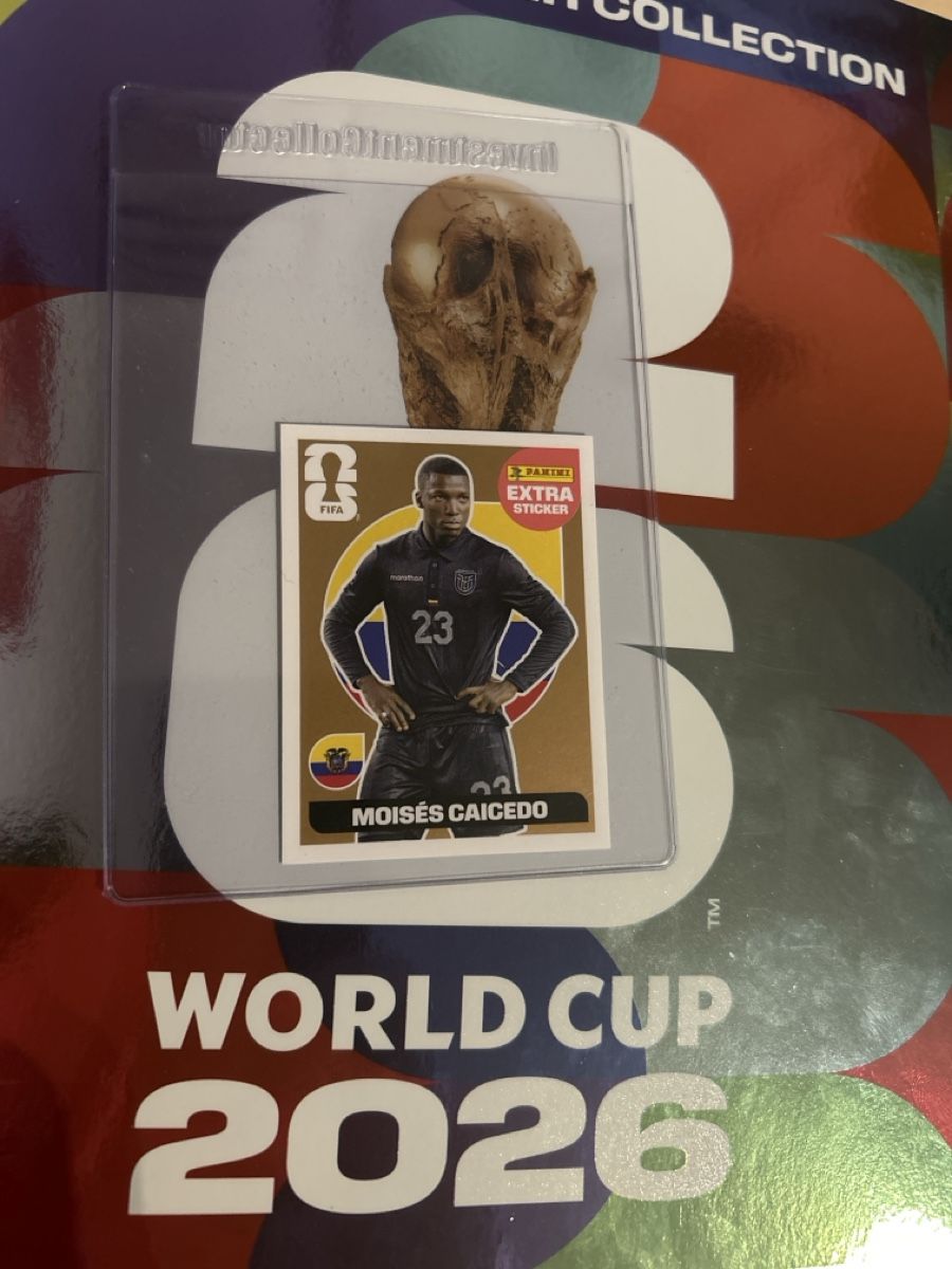 Panini Cartes à collectionner: Panini Caicedo extrasticker – D'occasion à Erlenbach ZH par tim_br9g
