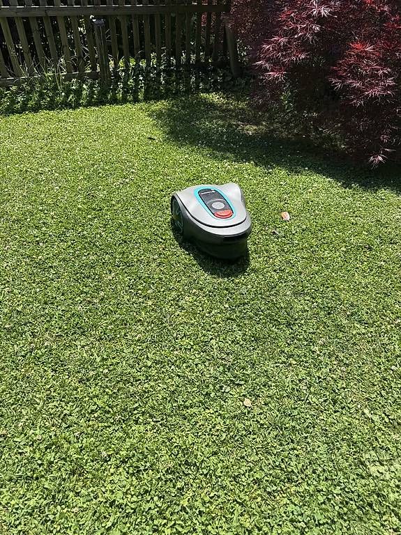 Gardena Tagliaerba: Gardena Sileno Minimo 250 – Usato da Lengnau AG venduto da Miky12
