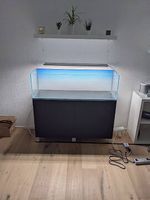 High-End Süsswasser Aquascape Aquarium Komplettset 120×40×35