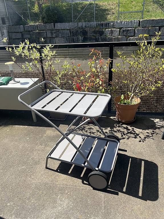 Box contenitori: Gartenwagen – Usato da Zürich venduto da riiq