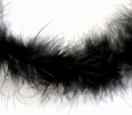 Welt der Tiere: Schwarze Federboa – Neu (gemäss Beschreibung) aus Schlatt TG von mavo85