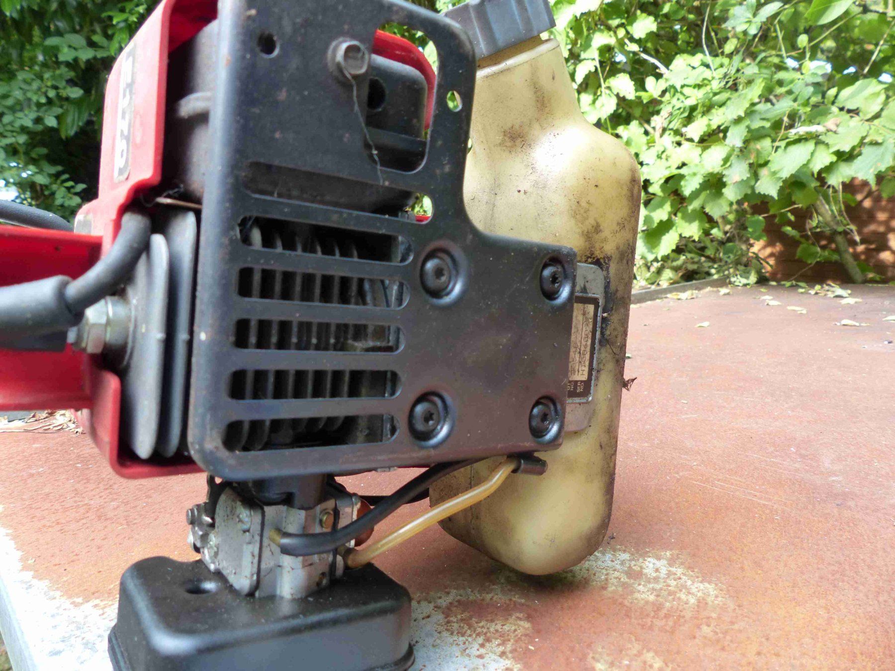 Tutte le macchine: Rasentrimmer mit Benzinmotor – Difettoso da Jona venduto da Cinnestig 2