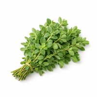 Majoran
