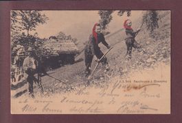 Faucheuses à CHAMPERY - 1907 Feldpost