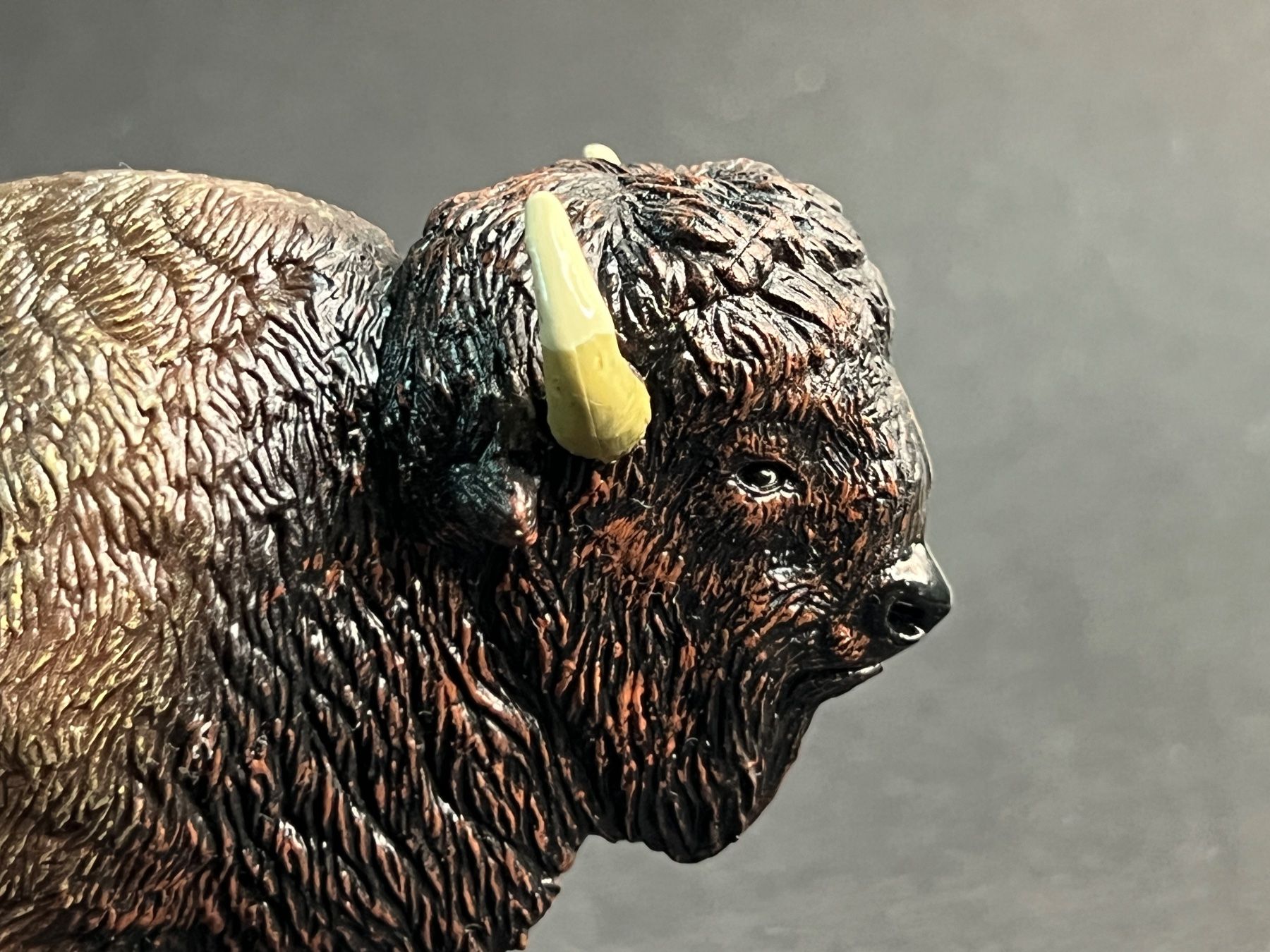 Schleich Statuette: Papo Amerikanischer Bison ähnlich Schleich – Nuovo (secondo la descrizione) da Ennetbaden venduto da mapa05 6