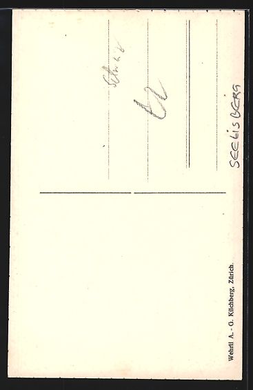 Cartoline postali: AK Seelisberg, Ortsansicht – Usato da Berlin venduto da bartko-reher 1