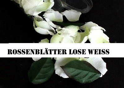 Tutte le decorazioni: Rosenblätter weiss – Nuovo (secondo la descrizione) da Schlatt TG venduto da kreativ-atelier