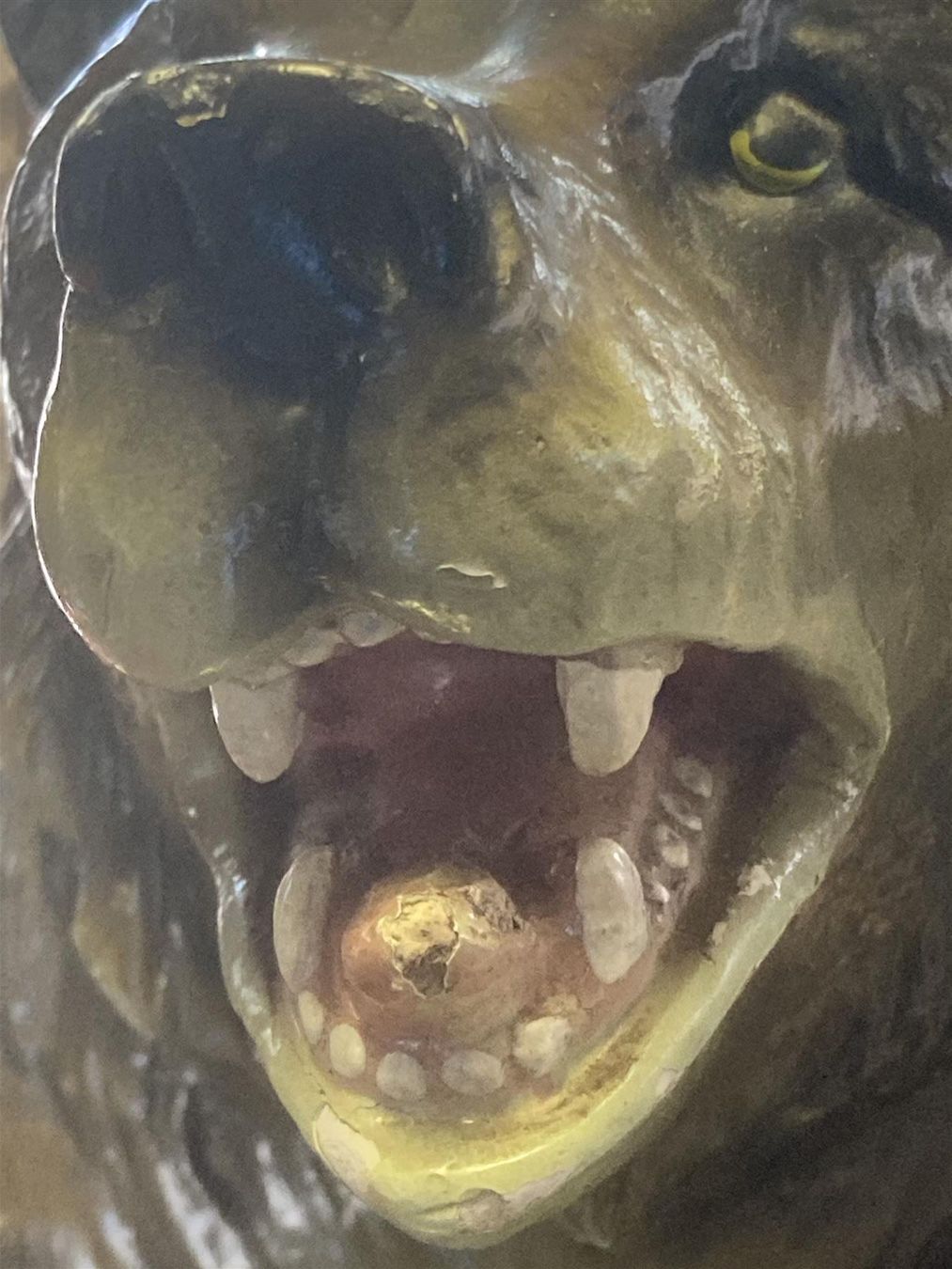 Statuette: (vm) Stattlicher Bär – Usato da Bern venduto da Jwpm66