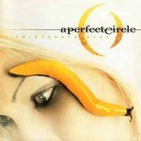 A Perfect Circle – Thirteenth Step