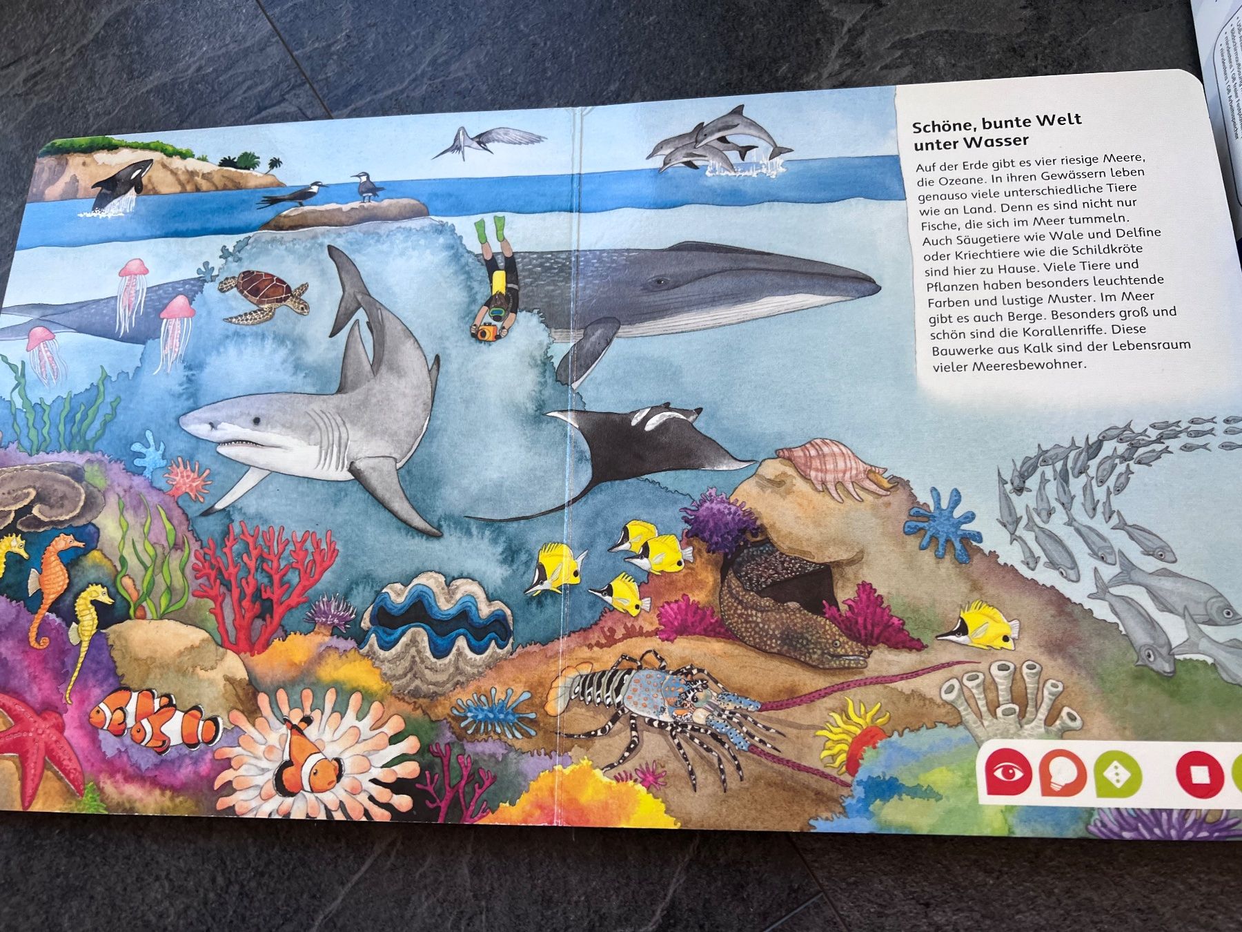 Tiptoi Jeux: Tiptoi Lernspielbuch, Tiere – D'occasion à Walzenhausen par Cerna007 5
