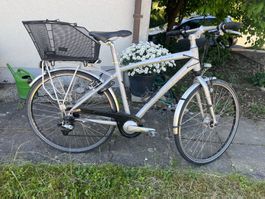 Villiger Bernardino