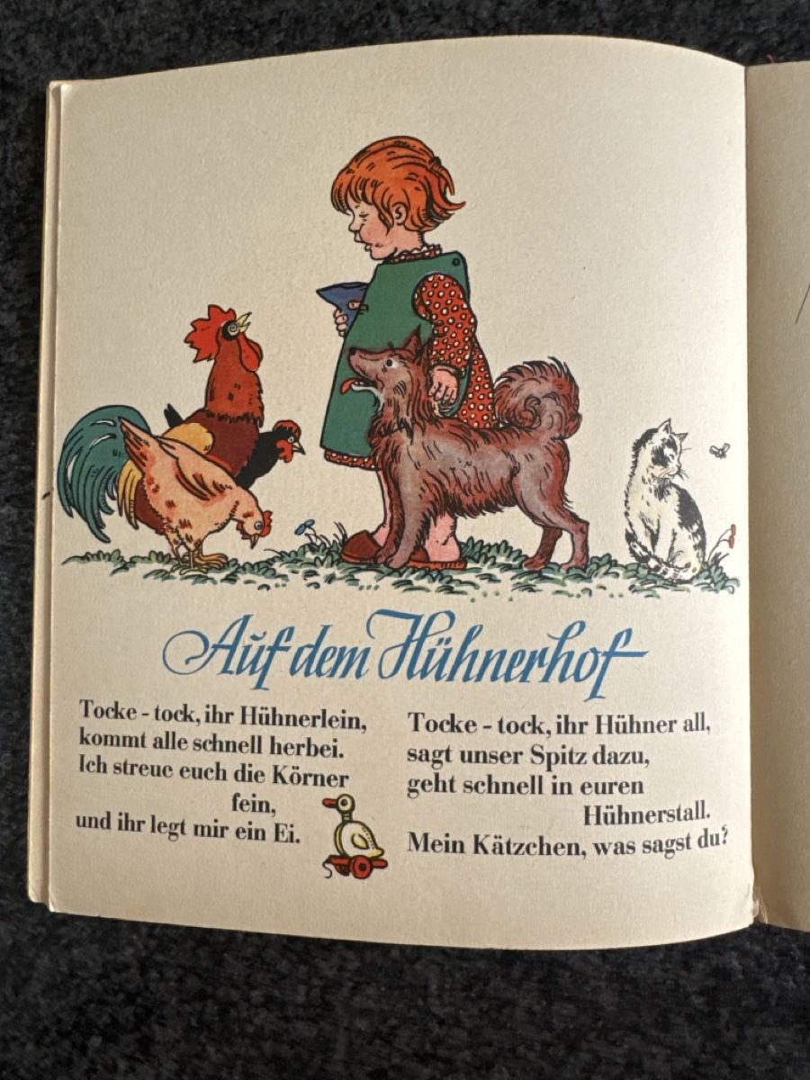 Libri: Kinderbuch Dildeldum, Buch Verlag F.W. Stritzinger – Usato da Eschenz venduto da Belladog 6