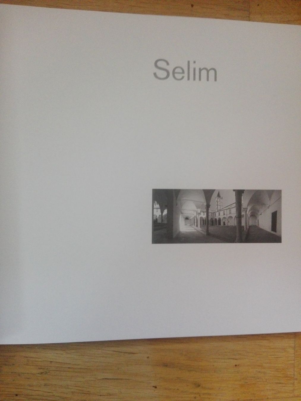 Livres: Selim - Step between Steps (Time of Materials)   >De-Fr-It< – D'occasion à St.Galllen par elkaphone 1