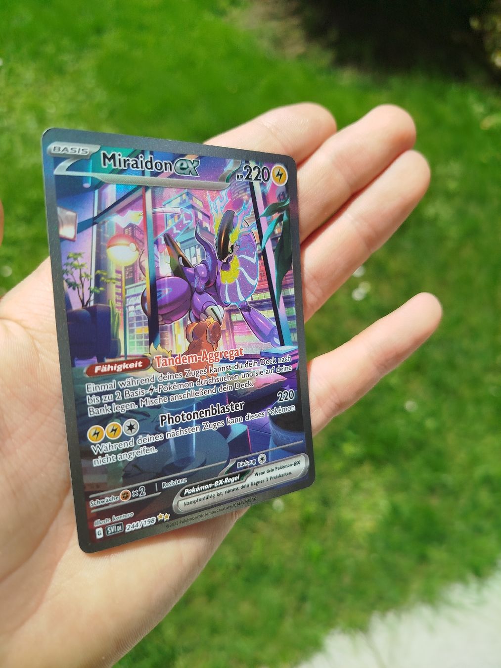 Pokémon Carte collezionabili: Pokémon Miraidon 244/198 – Nuovo (secondo la descrizione) da Rheinfelden venduto da pru_9fqg 1