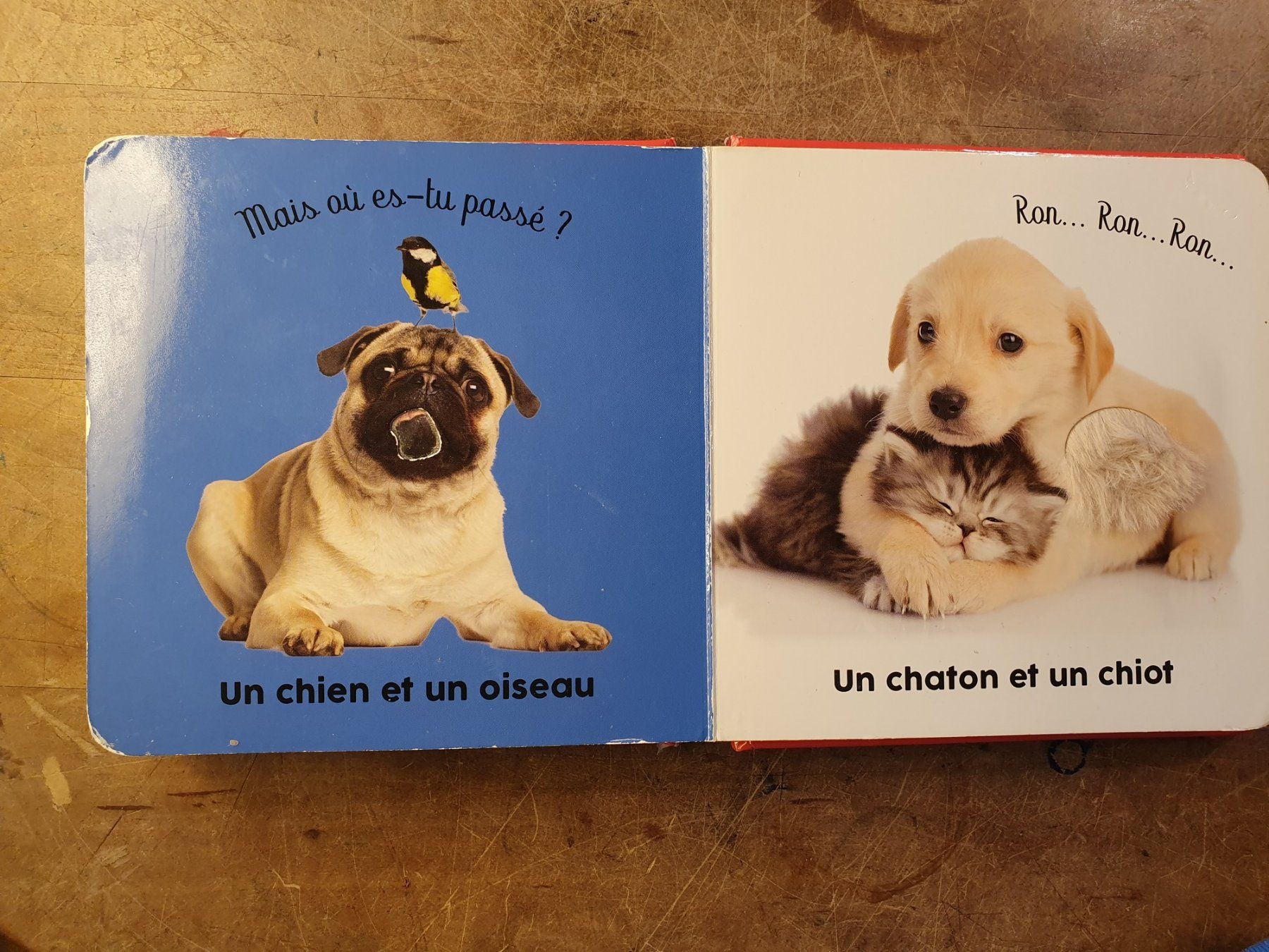Libri: Bisous et calins – Usato da Zürich venduto da loosebone 2