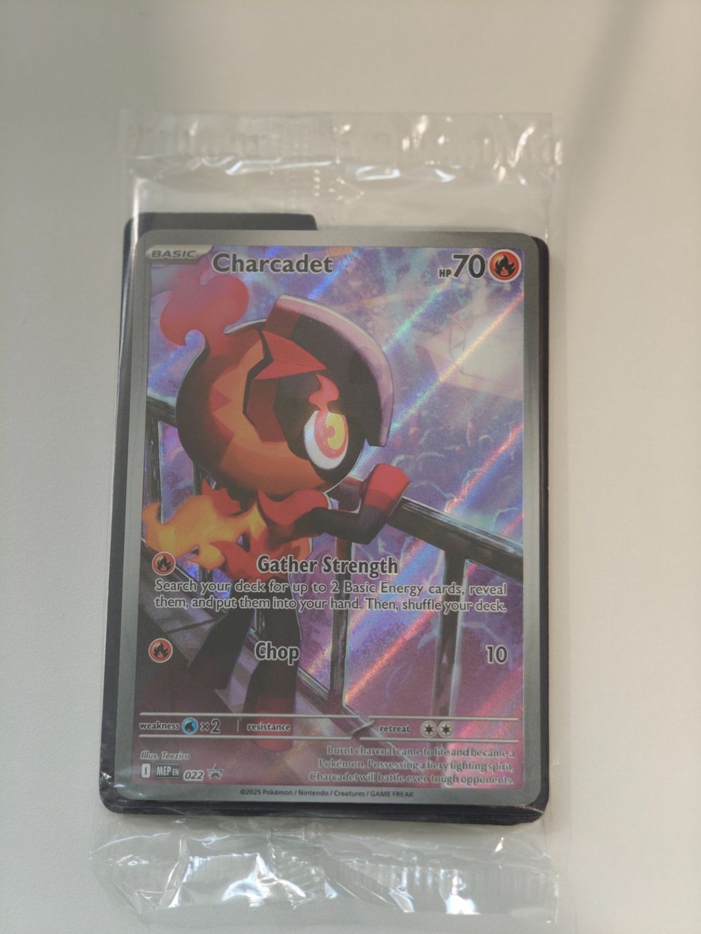 Pokémon Carte collezionabili: Charcadet Promo 022 EN – Nuovo (secondo la descrizione) da Therwil venduto da Cordachu_Trade