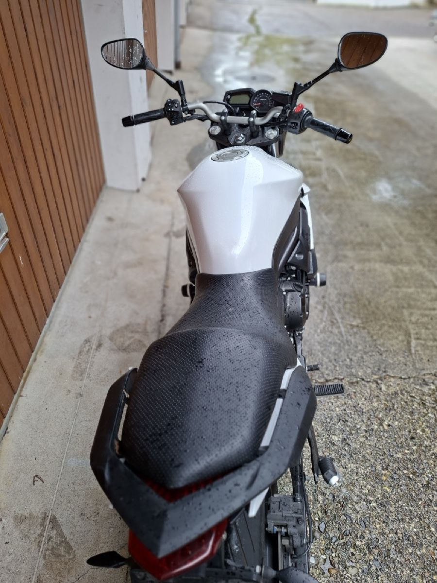 Yamaha Strada: Motorrad Yamaha XJ6  – Usato da St.Gallen venduto da Nofe 2