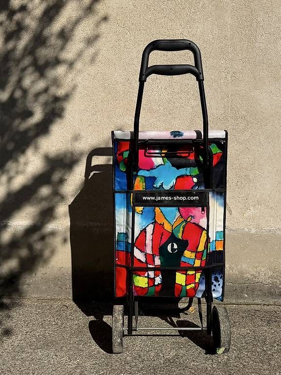 Autres articles pour la maison: Einkaufstrolley - JAMES – D'occasion à Basel par mar_6mnw 2