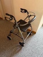 Rollator - Gehhilfe Drive GIGO 2G wenig gebraucht