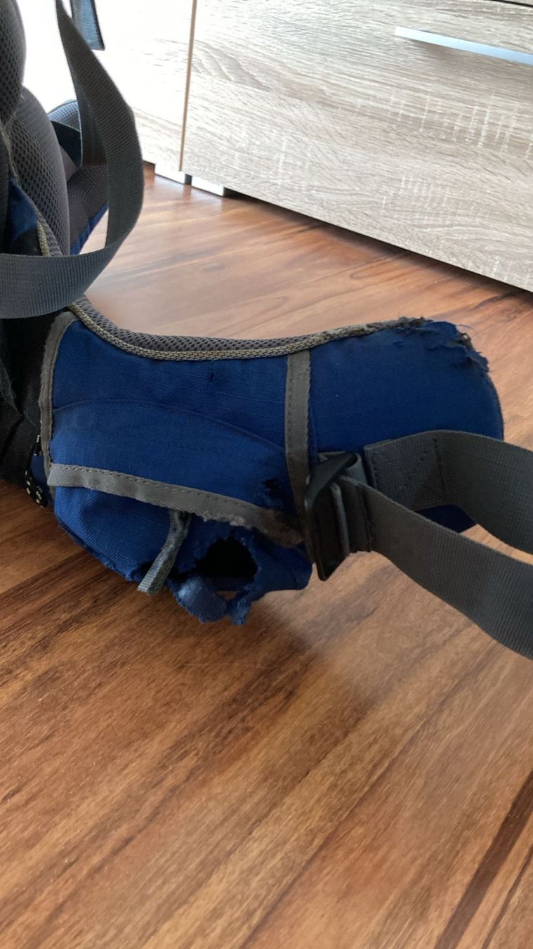 Deuter Marsupi portabebè: Deuter Kid Comfort III – Usato da Ebnat-Kappel venduto da Polo011 2