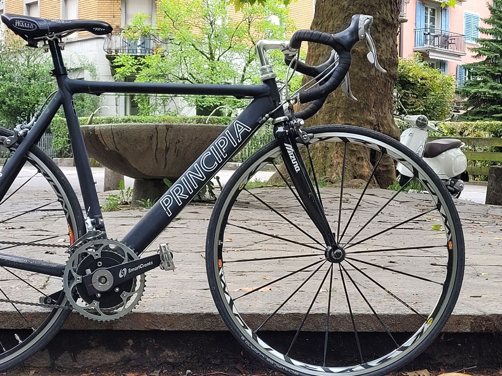 Biciclette: Principia Rennvelo – Usato da Zürich venduto da Loboso 7