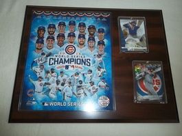 MLB Chicago Cubs World Series 2016 Plakette