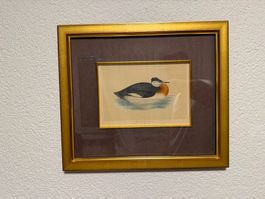 Antiker Vogelstich – F. O. Morris