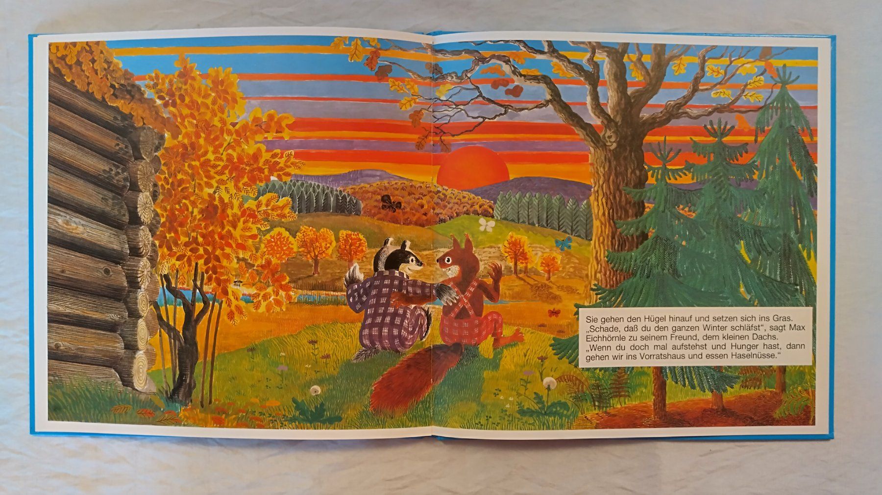 Bücher: Max Eichhörnle und der Nussknacker / Eichhörnchen Bilderbuch – Gebraucht aus Bellach von JingleJerry 7