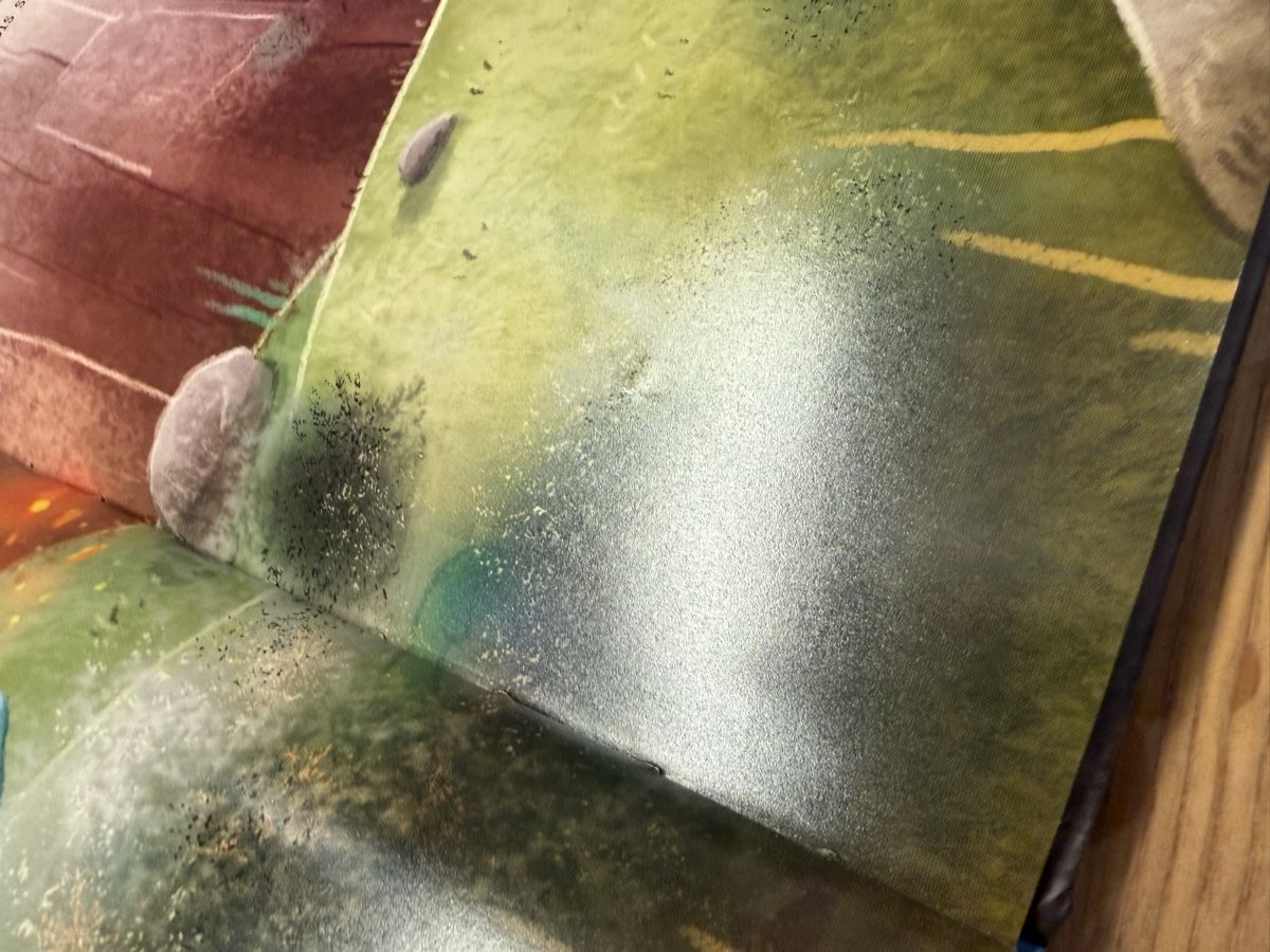 Bücher: Buch Furzipups der Knatterdrache – Gebraucht aus Attelwil von jasmine_252 3