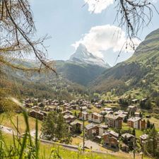 Profile image of Swisskep