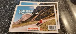 2 x Migros Sammelspass Pfingsteggbahn Rodelspass