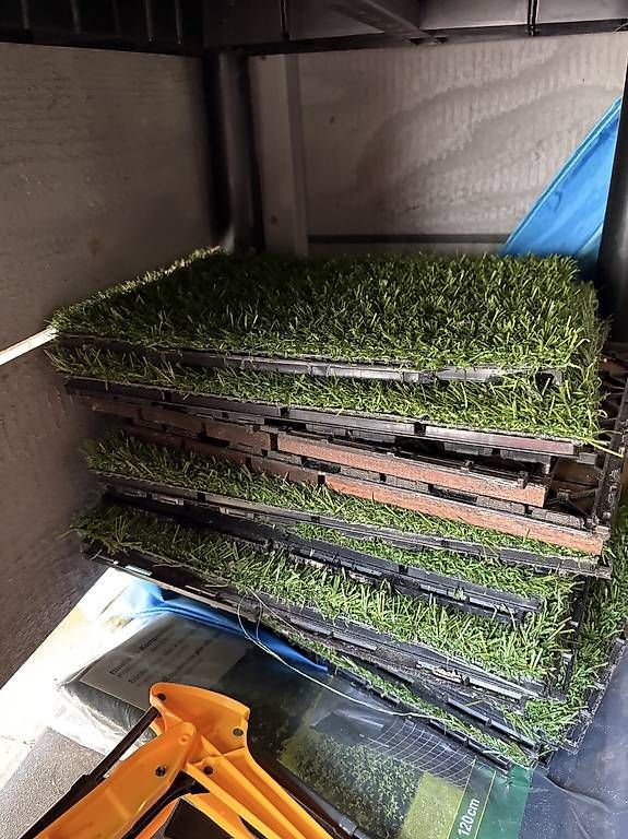Rivestimenti per pavimenti: Gartenplatten – Usato da Reinach BL venduto da Celine216