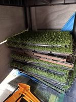 Gartenplatten