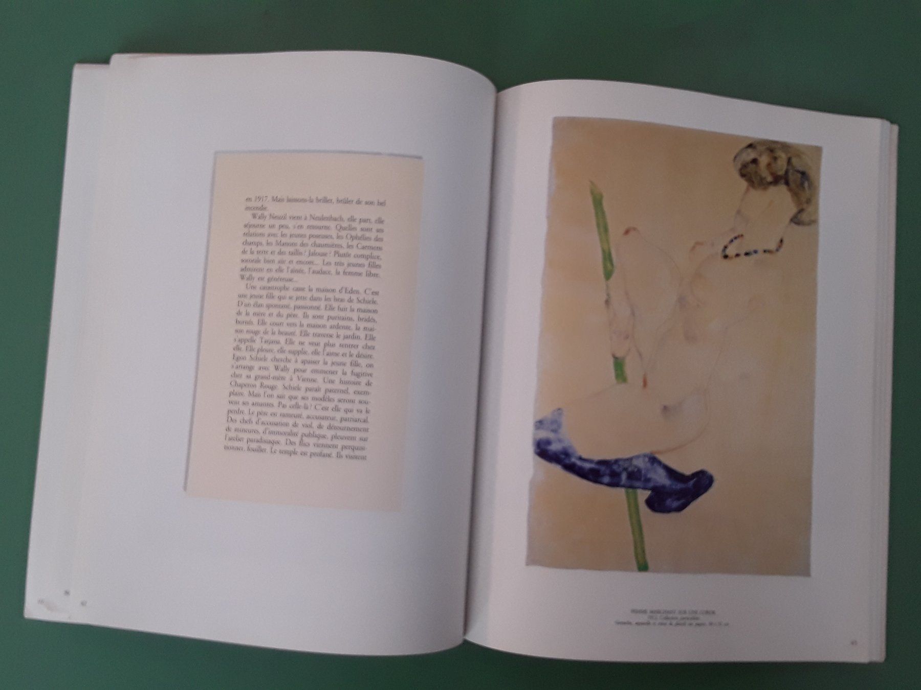 Libri: Livre Egon Schiele – Usato da Fribourg venduto da mar_z757 2